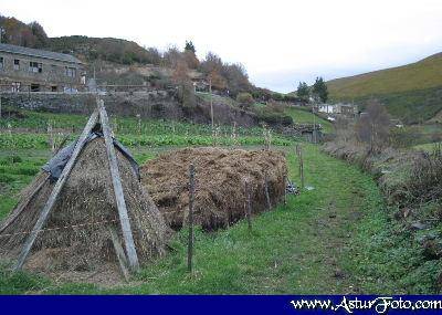 san martn de oscos,casas de aldea rurales,casa rural ,casas de aldea,rurales,casa rural,santa eulalia de oscos